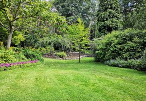 Optimiser l'expérience du jardin à La Chapelle-Saint-Sauveur